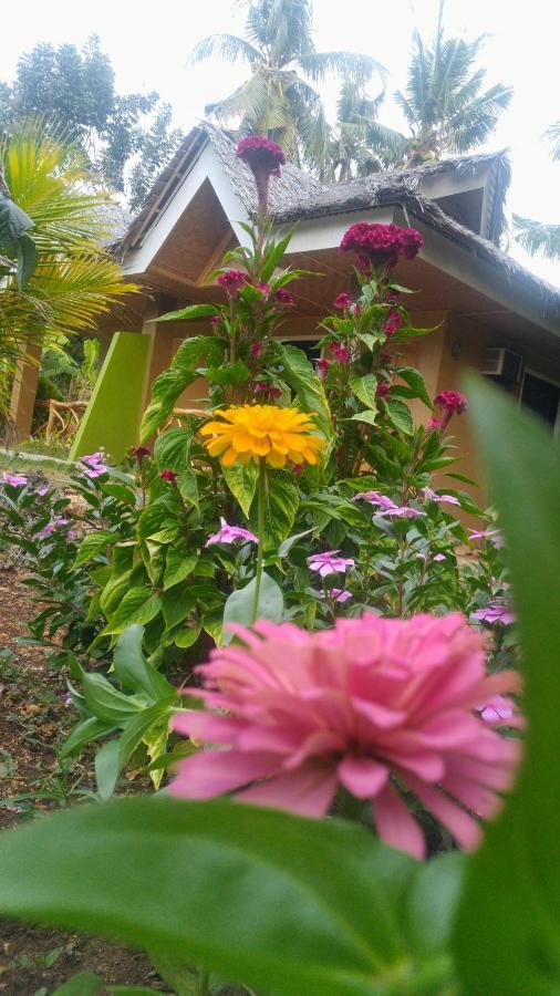 Miki'S Guest House Siquijor Bagian luar foto